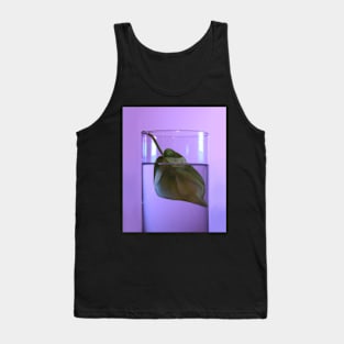 Single Money Plant Leaf Photography Tank Top